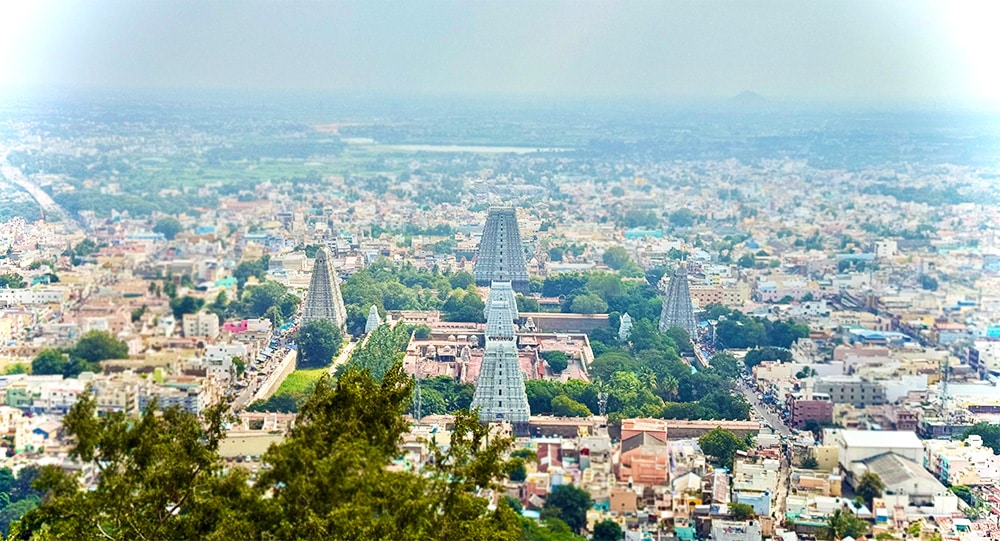 Indien 2025, Foto 6