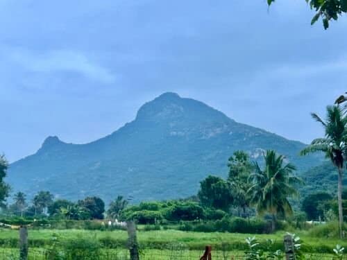 Indien Retreat 2023 – 2024, Foto 9