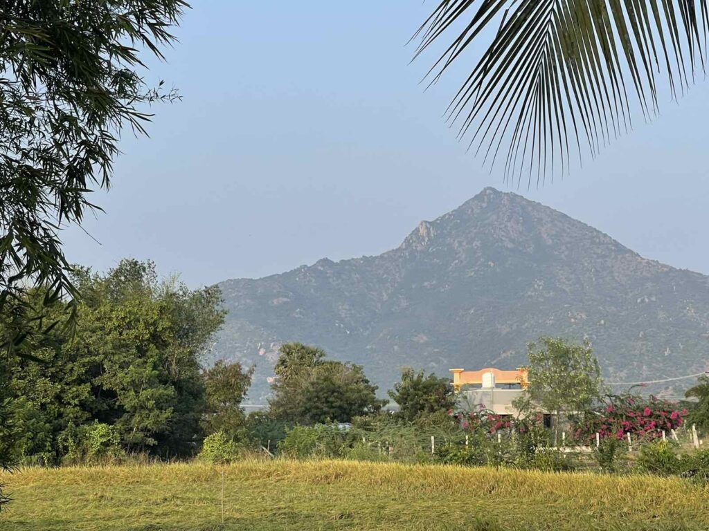 Indien Retreat 2023 – 2024, Foto 33