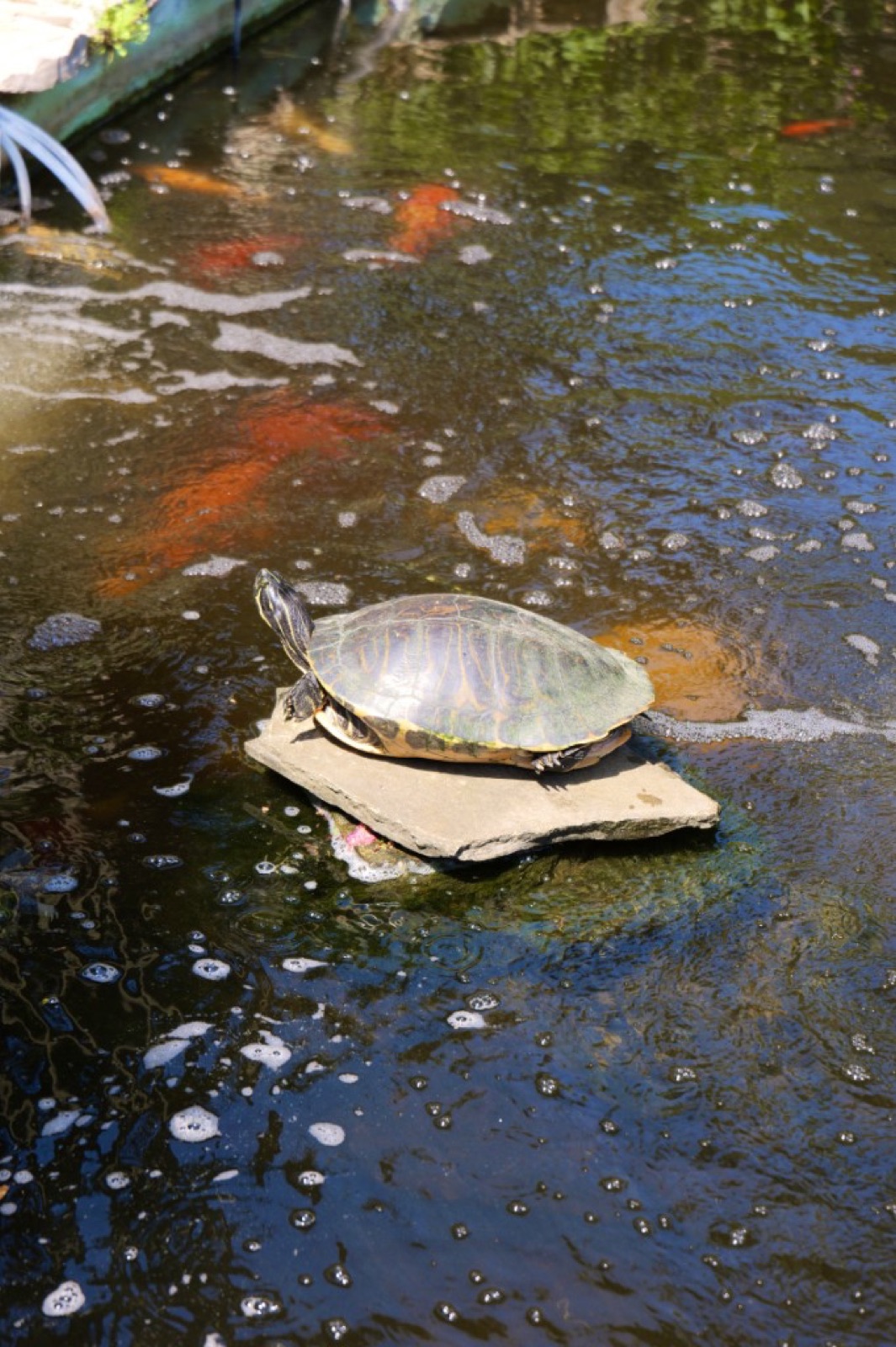 Pfingsten 2026, Foto 31