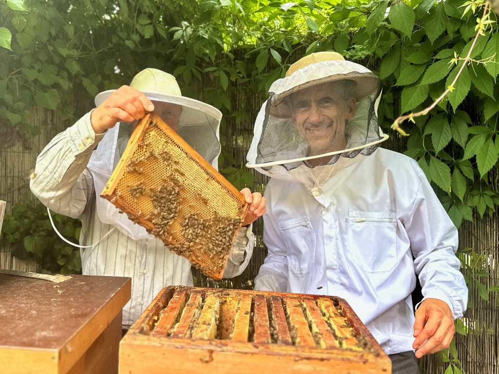 Abejas en el jardín