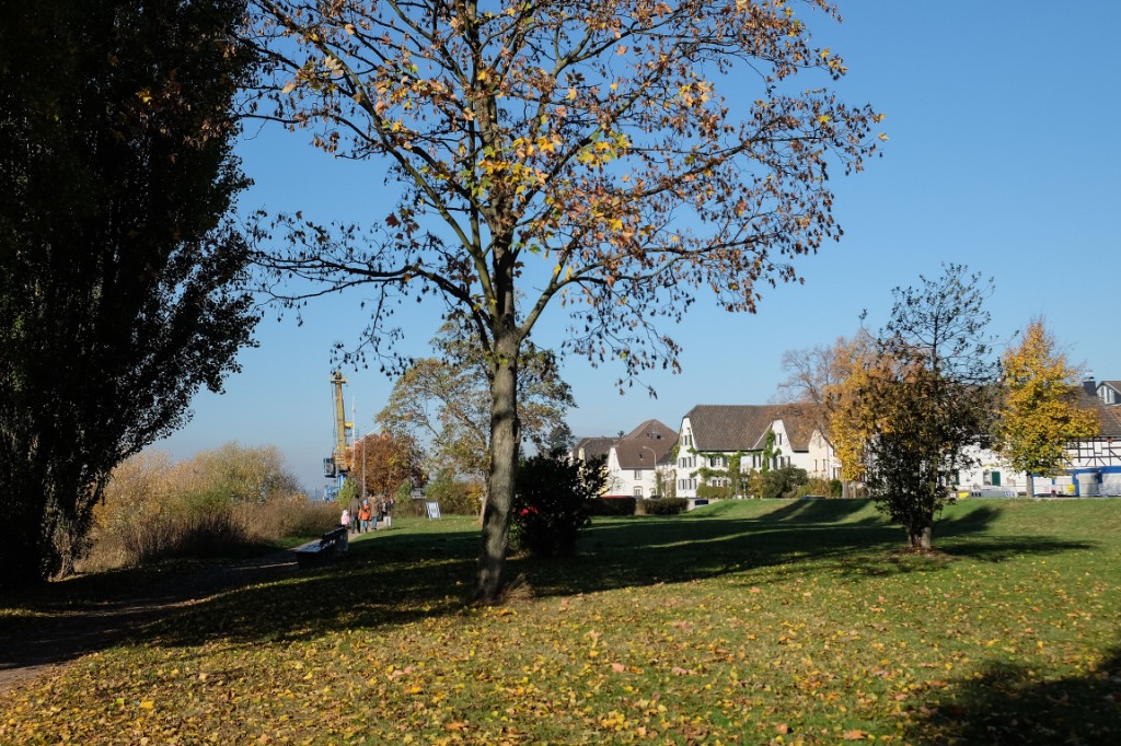 Jardín junto al Rin en otoño